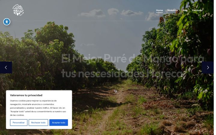 Screenshot of amarvida.co