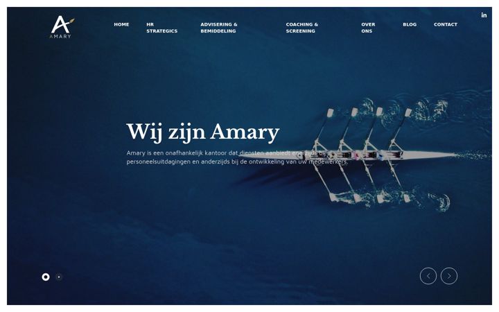Screenshot stránky amarybv.be