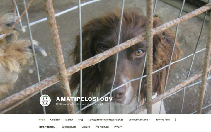 Screenshot of amatipelosi.it