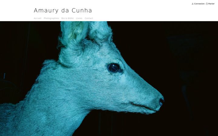 Screenshot of amaurydacunha.com