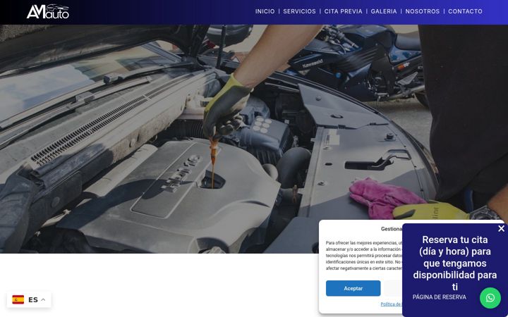 Screenshot of amauto.es