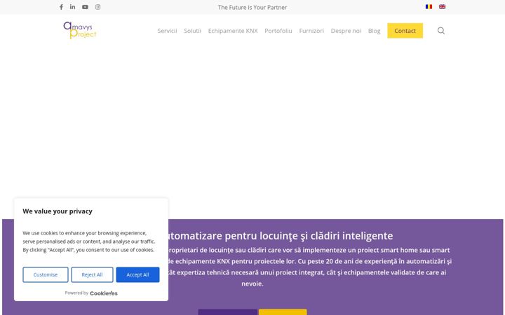Screenshot of amavys.ro
