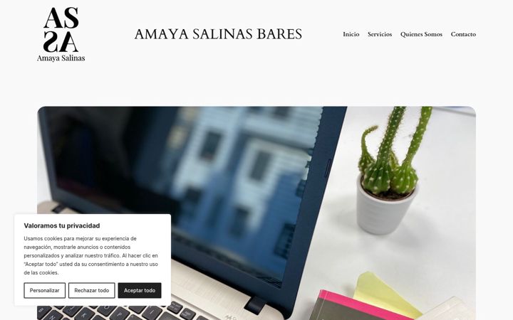 Screenshot of amayasalinasabogada.com