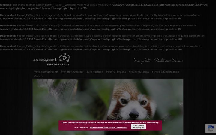 Screenshot of amazing-art.photo
