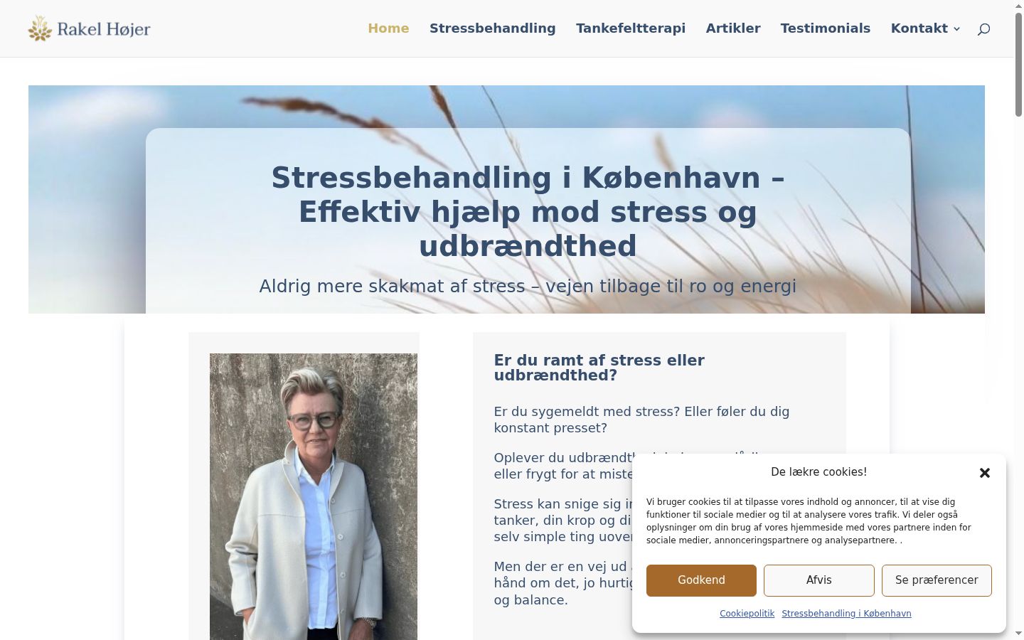 Skærmbillede af samtykkebanneret, som det blev vist før nogen interaktion