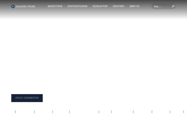Screenshot di amazingtours.dk