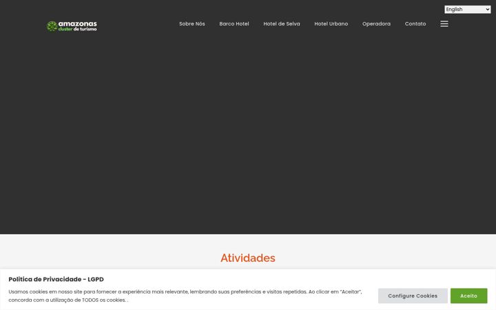 Snimka zaslona za amazonastravel.com