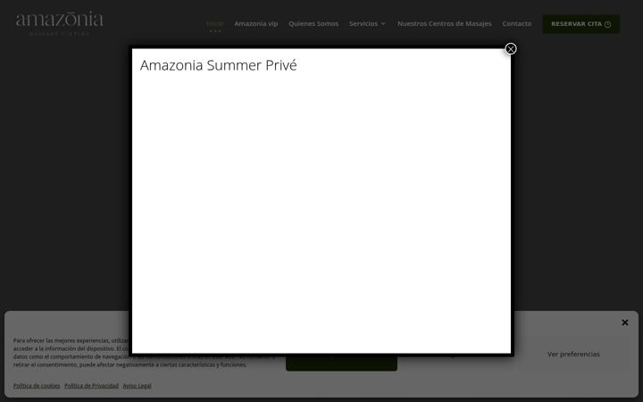 Screenshot of amazonia-group.com
