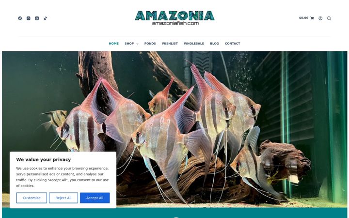 Screenshot of amazoniafish.com