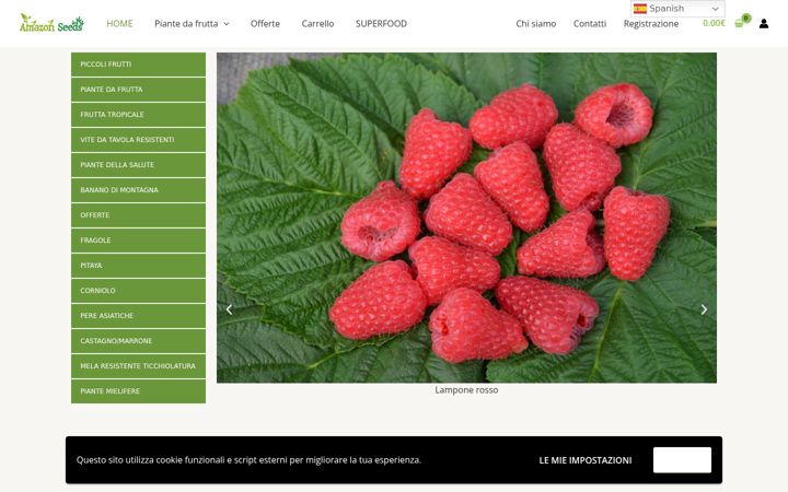 Screenshot of amazonseeds.it