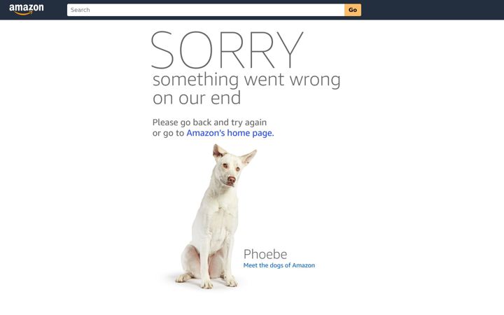 Screenshot ta' amazonsilk.com