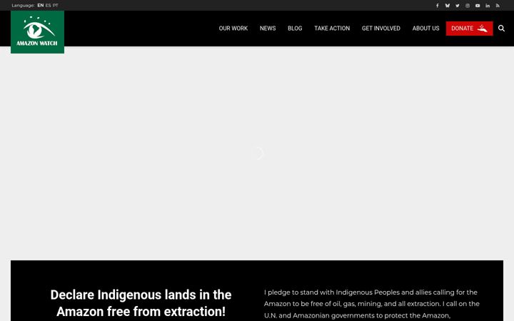 Screenshot of amazonwatch.org