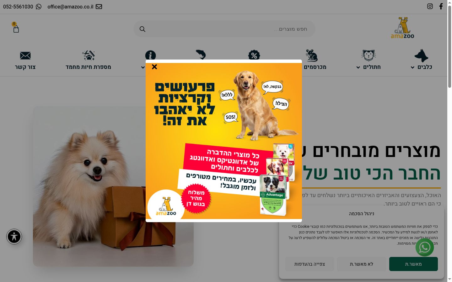 Sutikimo reklamjuostės, rodytos prieš bet kokią sąveiką, ekrano kopija
