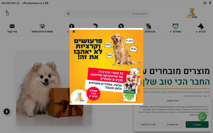 Screenshot of amazoo.co.il