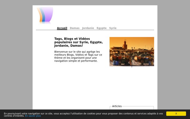Screenshot of amb-damas.fr