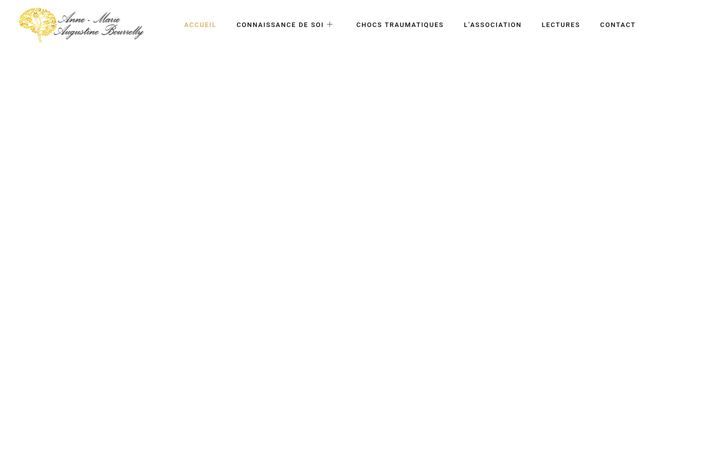 Screenshot of amb-psychanalyste-paris.fr