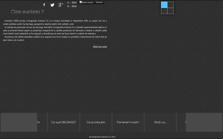 Screenshot of ambalaje-sacibigbags.ro