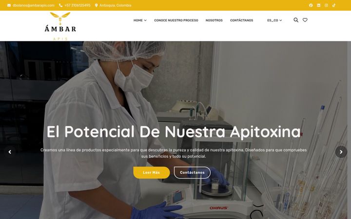 Screenshot of ambarapis.com