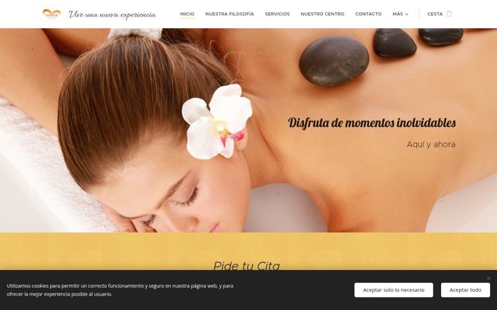 Screenshot of ambarhealthwellness.net