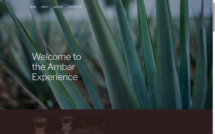 Screenshot of ambartequila.com