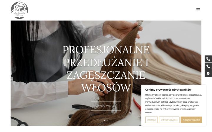 Screenshot ta' ambasadawlosow.pl