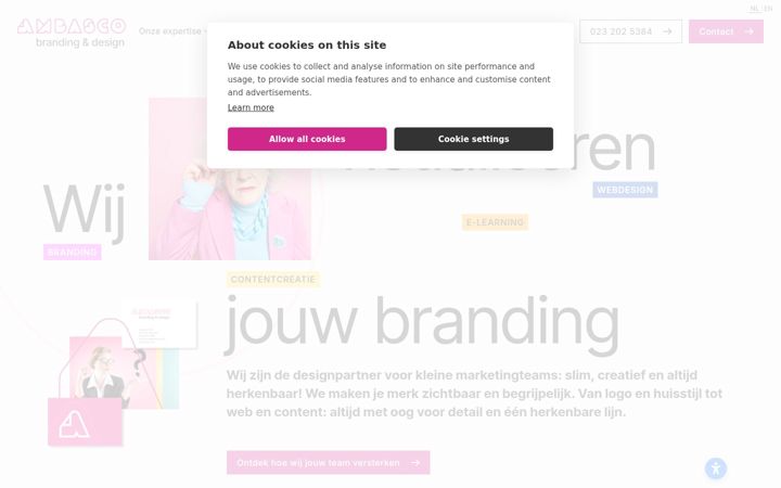 Screenshot of ambasco.com