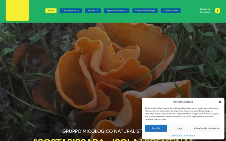 Screenshot of ambcostabissaraisola.it