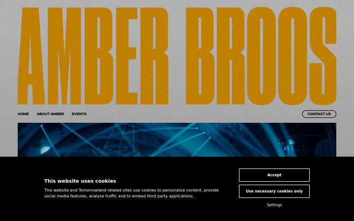 Skærmbillede af amberbroos.com