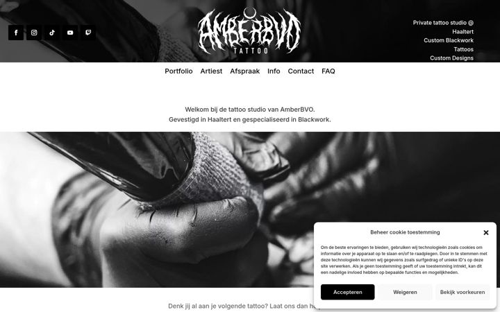 Screenshot of amberbvo.be