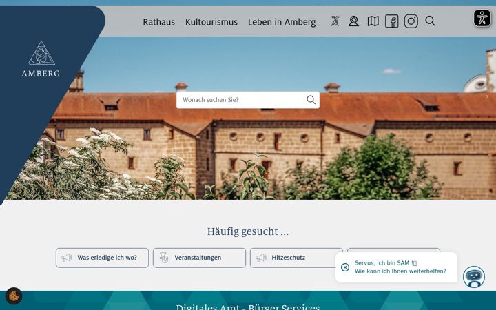 Screenshot of amberg.de