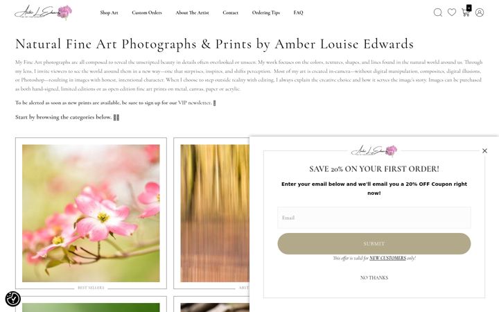 Screenshot of amberlouisephotography.com