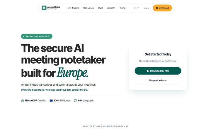 Captură de ecran a ambernotes.eu