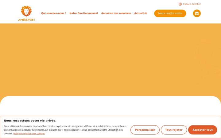 Screenshot of ambi-lyon.fr