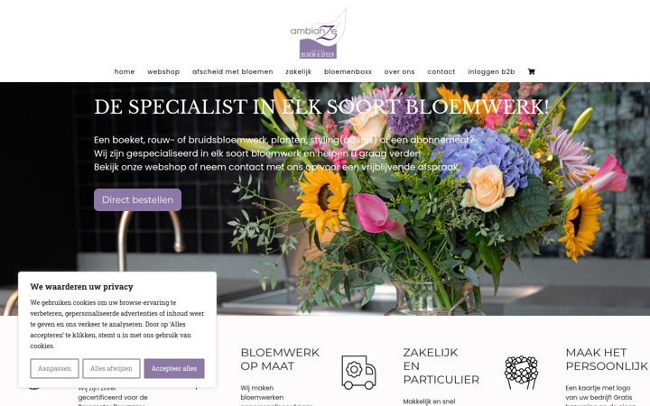 Screenshot of ambianze.nl