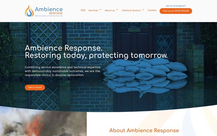 Screenshot of ambienceresponse.com