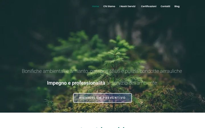 Screenshot of ambienterisorse.com
