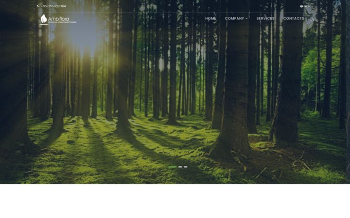Screenshot of ambiflora.pt