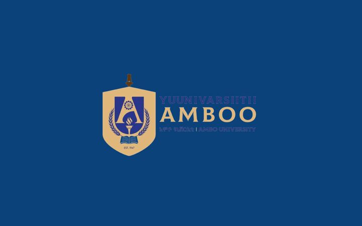 Screenshot of ambou.edu.et