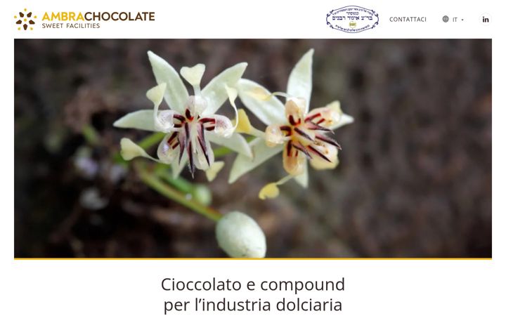 Snimka zaslona za ambrachocolate.com