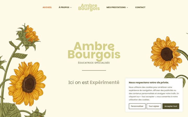 Screenshot of ambre-bourgois.fr