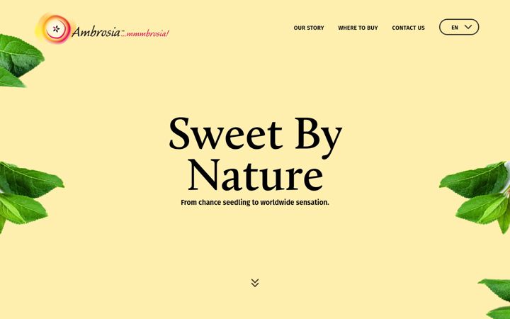 Screenshot of ambrosiaapples.com