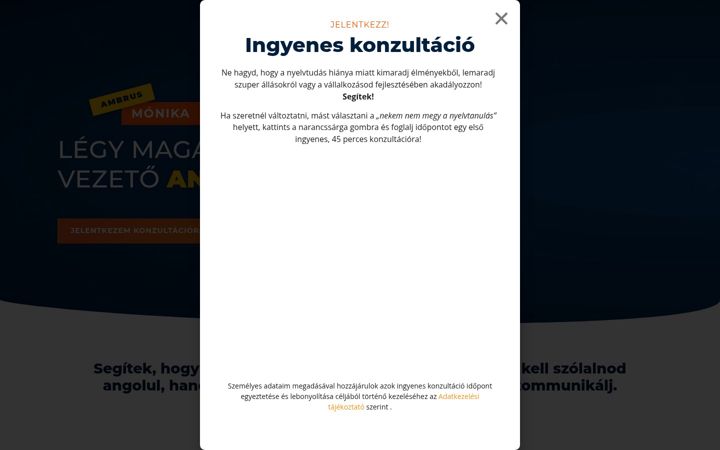Snímek obrazovky ambrusmonika.com