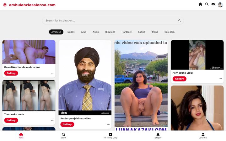 Screenshot of ambulanciasalonso.com