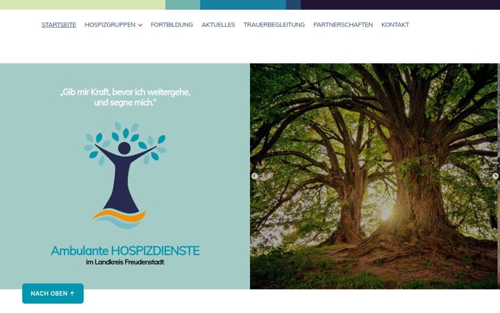 Screenshot of ambulante-hospizdienste.de