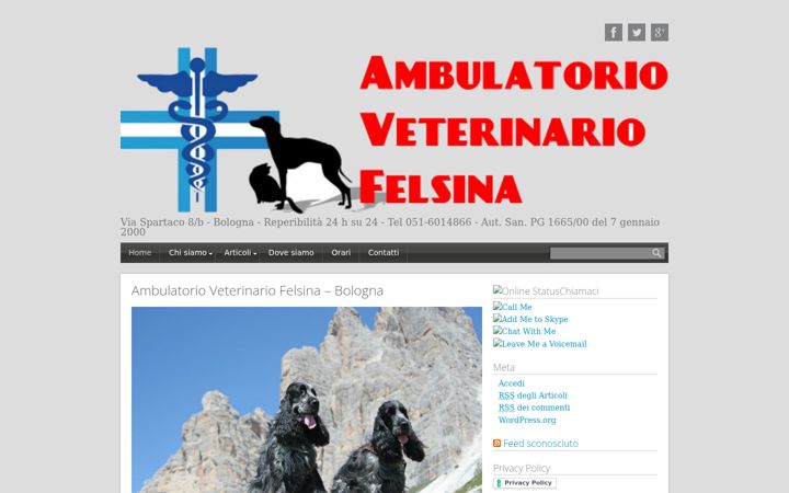 Skärmbild av ambulatoriofelsina.com