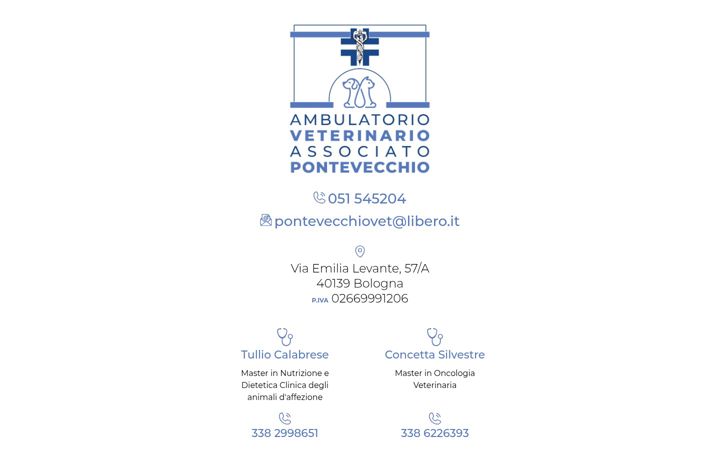 Screenshot of ambulatoriopontevecchio.it