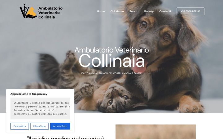 Screenshot di ambulatorioveterinariocollinaia.it