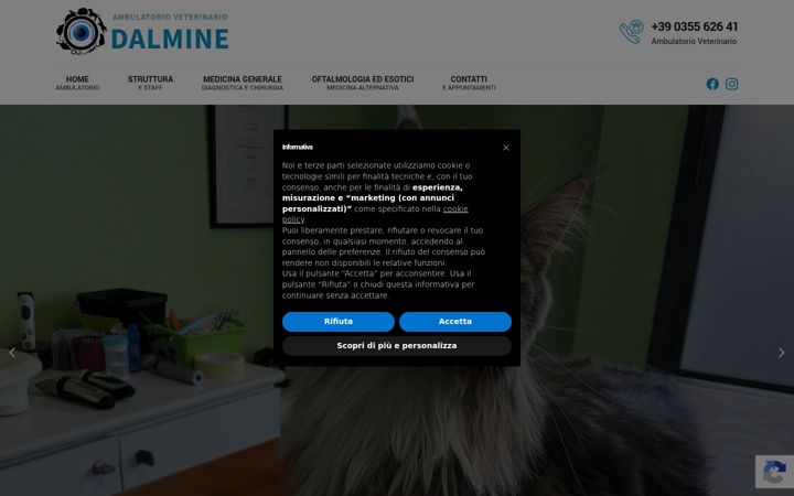 Screenshot of ambulatorioveterinariodalmine.com