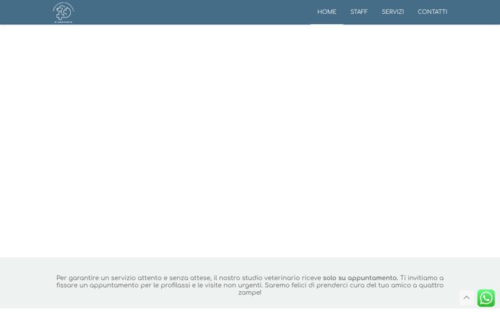 Screenshot of ambulatorioveterinariodannunzio.info