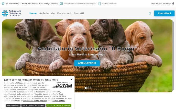 Screenshot of ambulatorioveterinarioilborgo.it